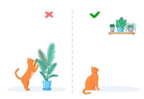 Cat and home plants. Wrong and right ways to keep plants at home with pet. Naughty red cat eats flowers in pots. Flat style vector