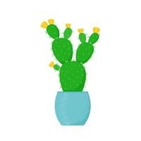 Flowering cactus in a flat style. Blossomed house succulent in pot vector