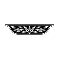 Elegant Black White Floral Border, Decorative Element - Nature vector
