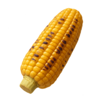 Realistic 3D Grilled Corn on Cob Close-up in Bright Lighting png
