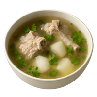 Simple Pork Broth Delicacy with Tender Meat and Fresh Herbs png