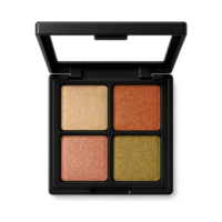 Elegant Shimmering Eyeshadow Palette for Vibrant Eye Makeup Looks png