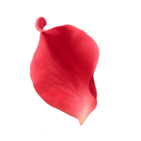 Elegant Red Rose Petal Floating on a Soft Background png