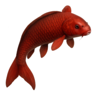 Graceful Koi Fish Swimming in Clear Water with Simple Background png