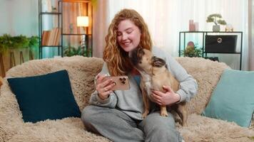Young Caucasian redhead woman watches funny on smartphone while sitting on home sofa, laughing loudly. Pug dog watches screen with curiosity reacting to joyful moment shared in peaceful setting video