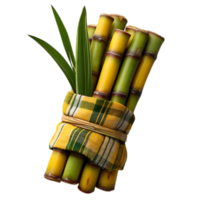 Freshly harvested sugarcane stalks tied together with a plaid cloth and leaves isolated on transparent background png