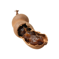 Open tamarind pod isolated on transparent background png