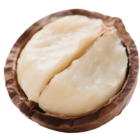 Open macadamia nut isolated on transparent background png