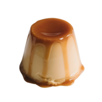 A creamy caramel pudding isolated on transparent background png