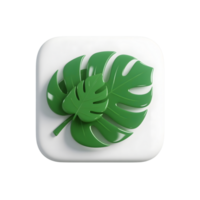 Monstera leaves isolated on transparent background in green 3d rendering png