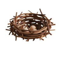Bird nest with three eggs isolated on transparent background png