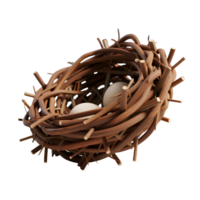 Bird nest with eggs isolated on transparent background png