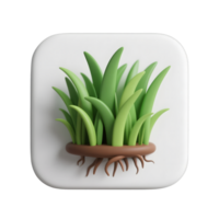 Green grass icon isolated on transparent background in 3d render png