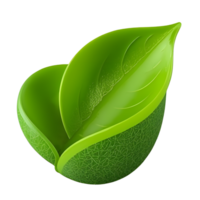 Two vibrant green leaves are isolated on transparent background png