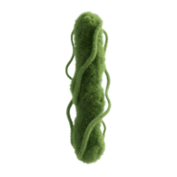 A fuzzy green vine isolated on transparent background png