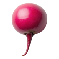 Vibrant Red Radish on Transparent Background png