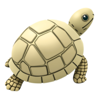 3D Cartoon Turtle with Transparent Background png