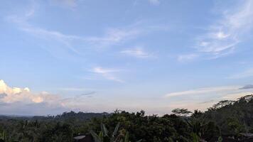 Beautiful panoramic view of the forest under a clear blue sky with clouds photo