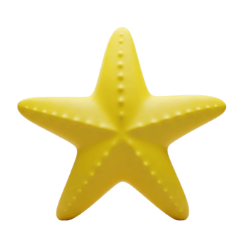 estrella de mar minimalista 3d representación suave y suave renderizador png