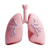 Human lungs minimalist 3D rendering in a soft and smooth renderer png