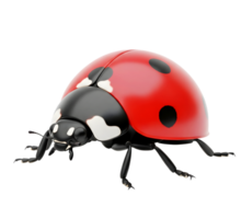 Red ladybug minimalist 3D rendering in soft and smooth renderer png