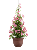 Hanging Basket with Cascading Pink Flowers Minimalist 3D Rendering in a Soft And Smooth Renderer png