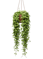 Green Trailing Plant in a Hanging Pot Minimalist 3D Rendering in a Soft And Smooth Renderer png