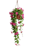 Hanging Basket with Cascading Pink Flowers Minimalist 3D Rendering in Soft Renderer png