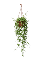 Green Trailing Plant in Hanging Pot Minimalist 3D Rendering in Soft And Smooth Renderer png