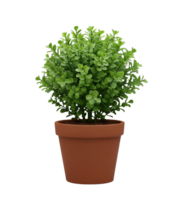Topiary Plant in Pot Minimalist 3D Rendering in a Soft And Smooth Renderer png