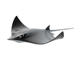 Stingray Minimalist 3D Rendering in a Soft Smooth Renderer png