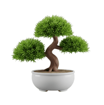 bonsai träd minimalistisk 3d tolkning i mjuk och slät renderare png