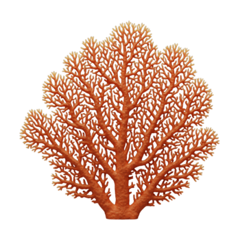 corallo minimalista 3d interpretazione nel un' morbido e liscio renderer png