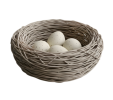 Birds Nest with Eggs Minimalist Rendering Smooth Renderer png