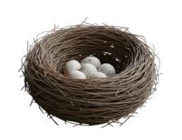 Birds Nest with Eggs Minimalist 3D Rendering Smooth Renderer png