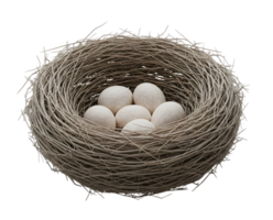 Birds Nest with Eggs Minimalist 3D Rendering and Smooth Renderer png