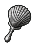 Vintage Scallop Shell Hand Fan Illustration. Retro Nautical Element Illustration Isolated On Transparent Background png