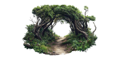 Enchanted Forest Pathway With Tree Archway. Nature'S Gateway To Adventure Isolated On Transparent Background png