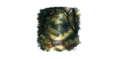 Forest Pathway Surrounded By Lush Greenery. Tranquil Nature Scene Inviting Exploration Isolated On Transparent Background png