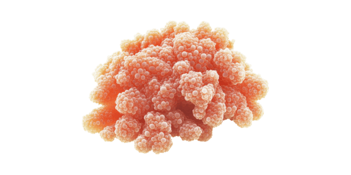 Abstract 3D Of Clustered Spheres. Conceptual Representation Of Molecular Structure Isolated On Transparent Background png