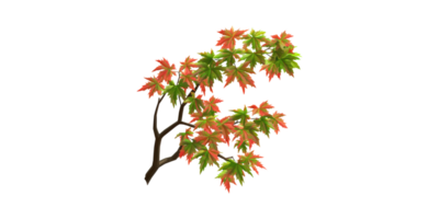 Autumn Maple Branch With Red And Green Leaves. Seasonal Change And Nature Concept Isolated On Transparent Background png