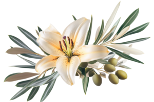 A soft floral arrangement featuring a large, elegant lily surrounded by olive leaves and fruit on a transparent background png