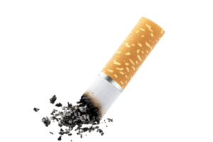 Lit cigarette. Ash, smoke, and smoldering paper show a discarded cigarette on a transparent background png