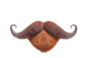 Isolated beard. Textured brown and tan beard with curled mustache on transparent background png