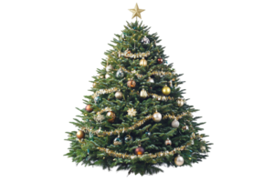 Decorated Christmas tree. Ornaments, tinsel, and a star adorn a fir against a transparent background png