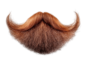 Reddish-brown beard and mustache on transparent background. Fine texture and depth. Realistic hair details png