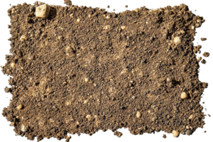 Earthy texture. Soil surface featuring small rocks and grainy dirt creating a natural ground png