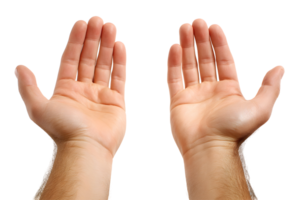 Two open hands, palms up, against a transparent background. Skin tones are light png