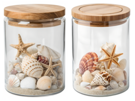 Seashell collection in glass jar with wooden lid isolated on the transparent background, coastal decor png