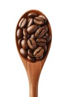 Coffee beans in a wooden spoon isolated, aromatic roasted beans on rustic utensil, close-up png
